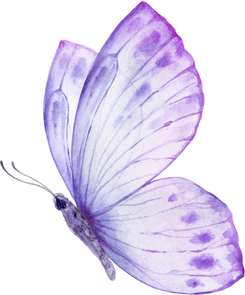 Purple Violet Watercolor Butterfly